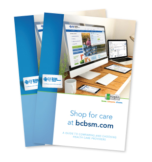 What is the BCBSM Health Assessment?