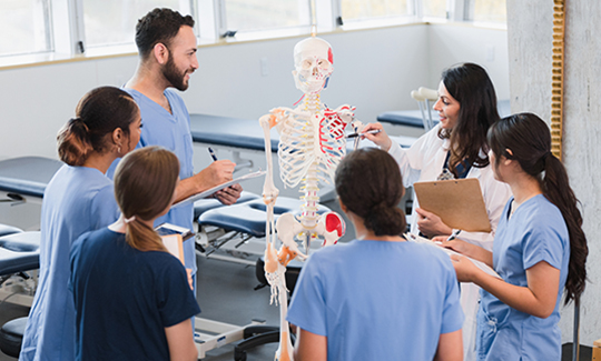 Medical professors and students look a skeleton together.