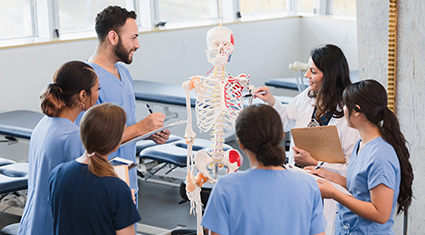 Medical teachers and students look at a skeleton together.