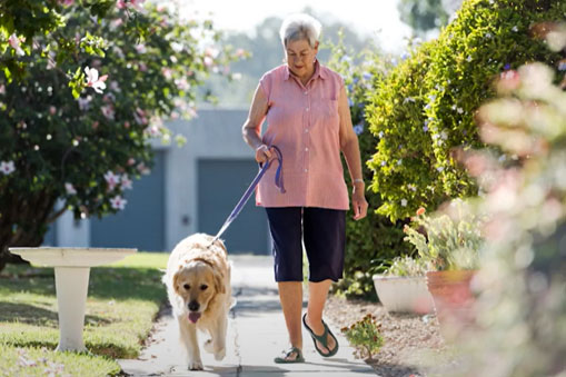 Woman walking a dog