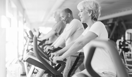 A group of seniors ride bicycles at the gym.