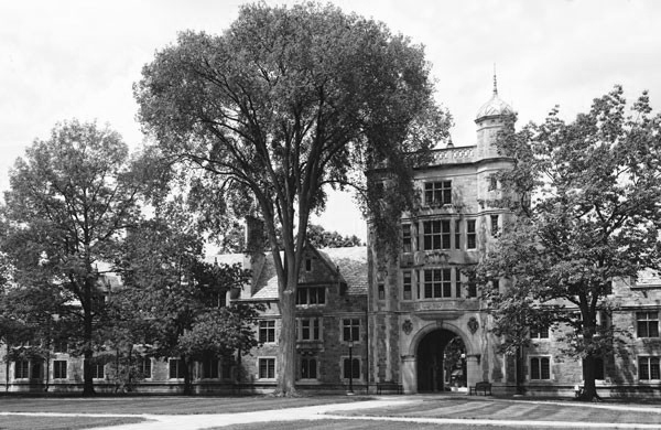 Trees stand tall in front of buildings on the University of Michigan campus.