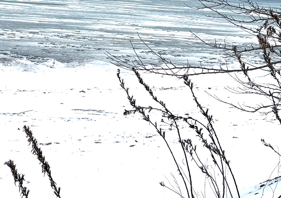 A snowy bank by a lake.