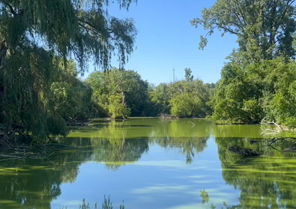 A calm river in between forests of green trees.