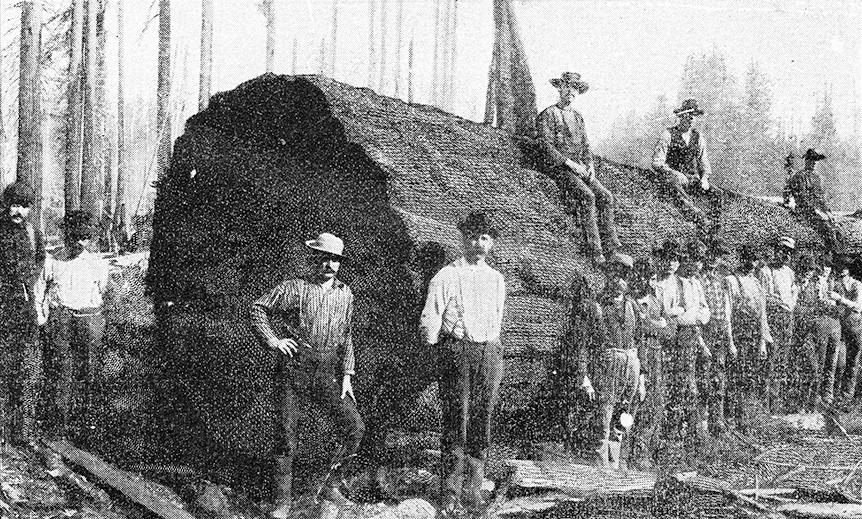 An old black and white photo showing a group of loggers