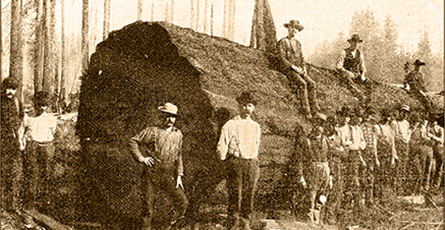 A sepia-toned photo shows a group of loggers