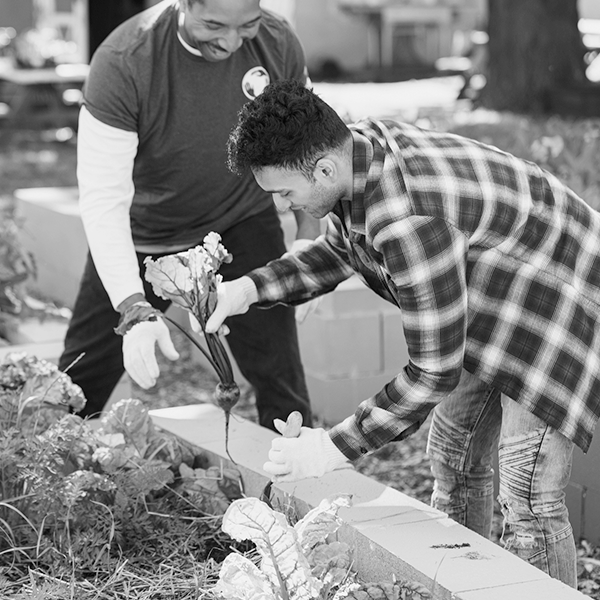 Two men gardening 