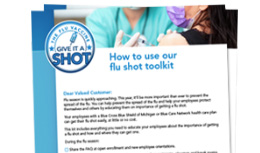 An image of the How to use our toolkit document. 